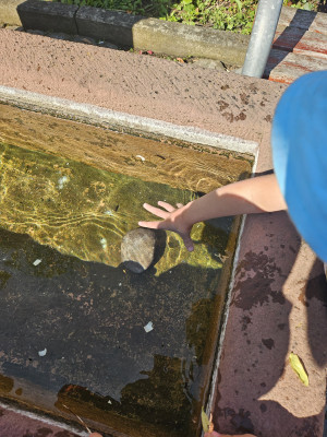 Steine und Wasser, besonders interessant Steine und Wasser, besonders interessant