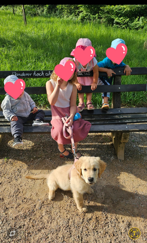 Nelly, lernt schon fleißig Nelly, lernt schon fleißig